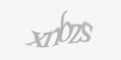 Güvenlik kodu