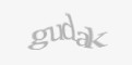 Güvenlik kodu