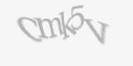 Güvenlik kodu